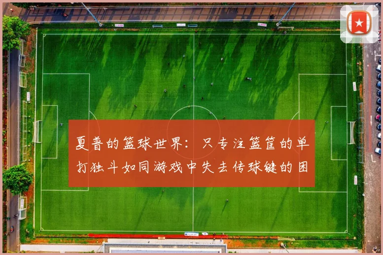夏普的篮球世界：只专注篮筐的单打独斗如同游戏中失去传球键的困境